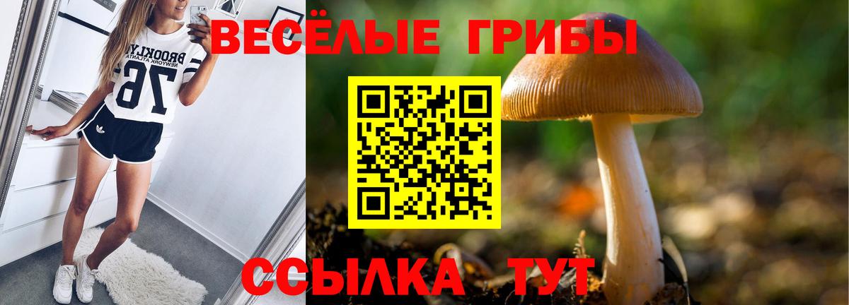 Галлюциногенные грибы мухоморы  Вход с VPN  Оренбург 