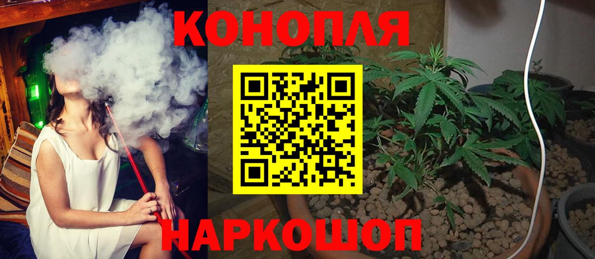 Бошки марихуана семена Оренбург